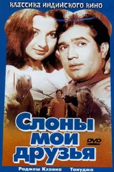 Слоны – мои друзья 1971 постер