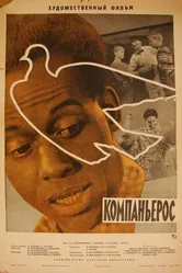 Компаньерос 1963 постер