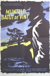 Гора на ветру 1956 постер