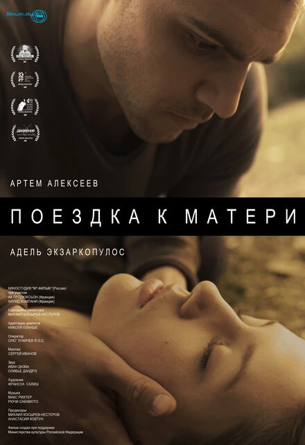 Постер Поездка к матери 2014