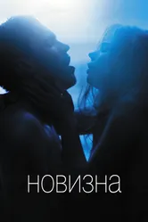 Новизна 2017 постер