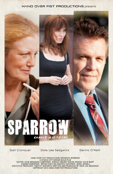 Постер Sparrow 2013