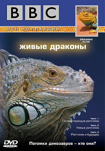 Постер BBC: Живые драконы 2004