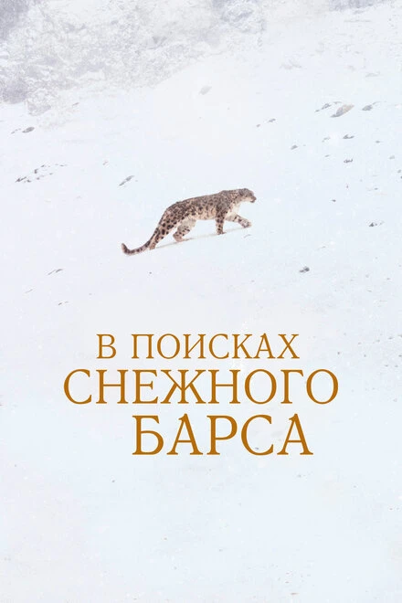 Постер В поисках снежного барса 2021