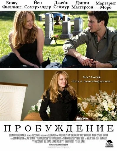 Постер Пробуждение 2009, США