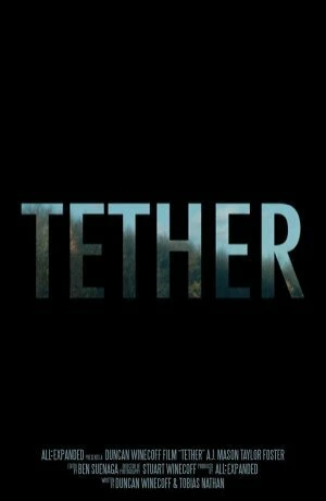 Постер Tether 2015, США