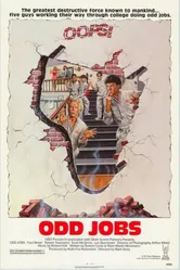 Случайная работа 1986 постер