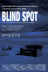 Blind Spot 2008 постер