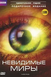 BBC: Невидимые миры 2010 постер