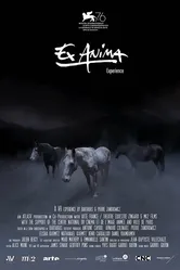Ex Anima Experience постер