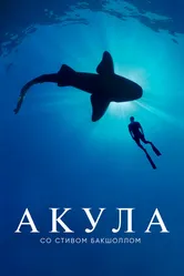 Акула со Стивом Бакшоллом 2021 постер