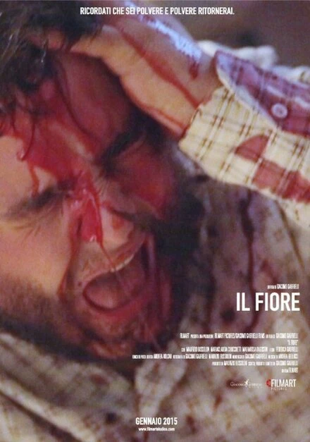 Постер Il Fiore