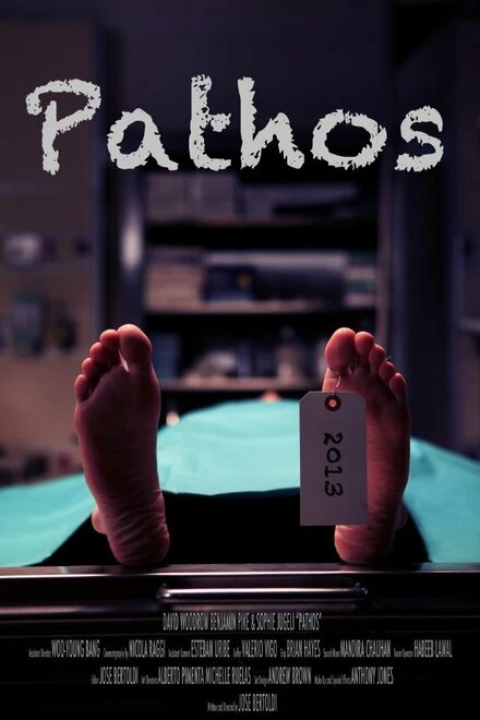 Постер Pathos 2013