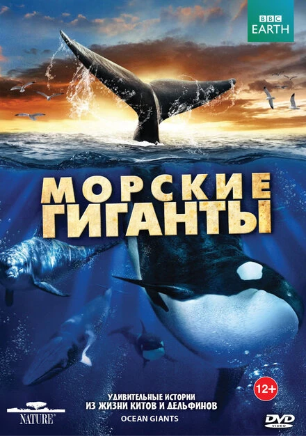 Постер BBC: Морские гиганты 2011