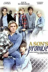 Обещание сына 1990 постер
