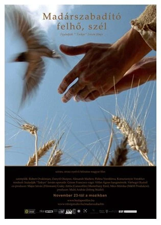 Постер Спаситель птиц, облако, ветер 2006