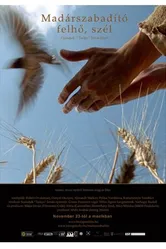 Спаситель птиц, облако, ветер 2006 постер