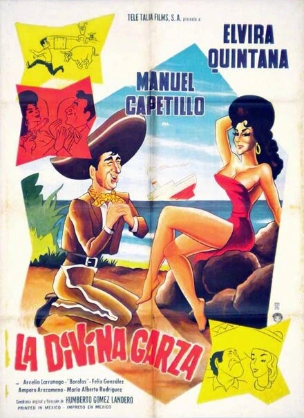Постер La divina garza