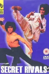 Тайные соперники 3 1981 постер
