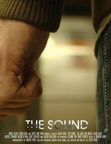 Постер The Sound 2014