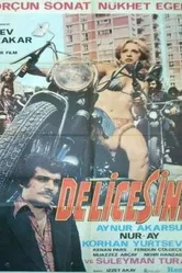 Delicesine постер