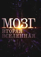 Мозг. Вторая Вселенная 2021 постер