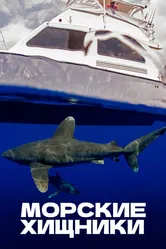 Морские хищники 2012 постер
