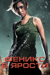 Феникс в ярости 2009 постер