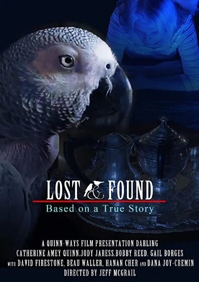 Постер 48 hour Lost & Found (2020 IV)