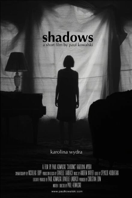 Постер Shadows 2015, США