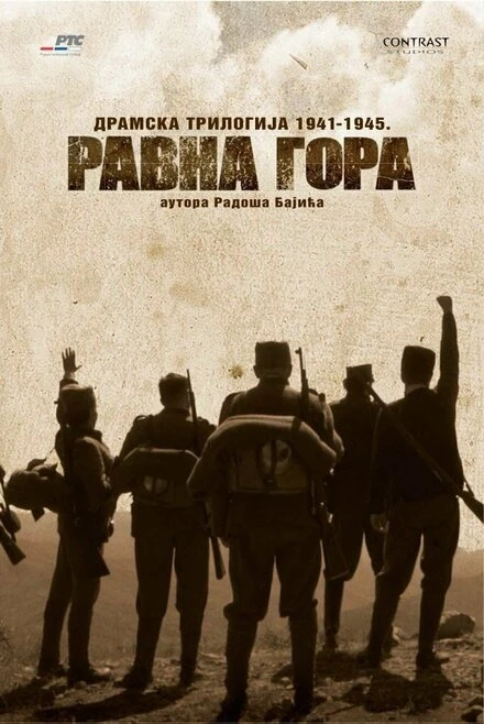 Постер Раскол нации 2013