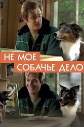 Не моё собачье дело 2018 постер