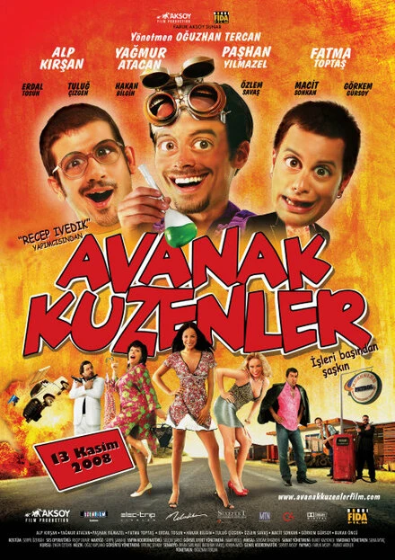 Постер Бестолковые кузены 2008