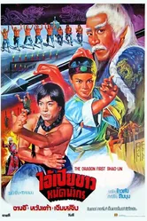10 братьев Шаолиня 1977 постер