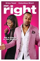 Mr. Right 2015 постер