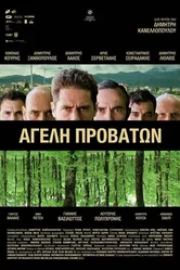 Ageli provaton постер