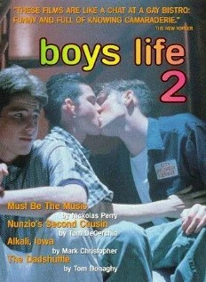 Постер Жизнь парней 2 1997