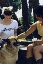 The Gold Necklace постер