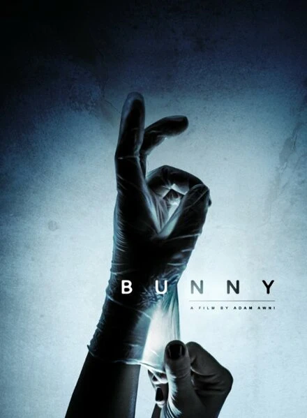 Постер Bunny 2014