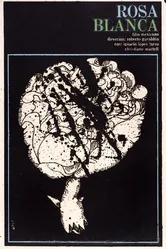 Белая роза 1961 постер