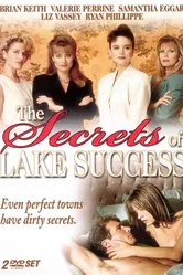 Секреты озера «Успех» 1993 постер
