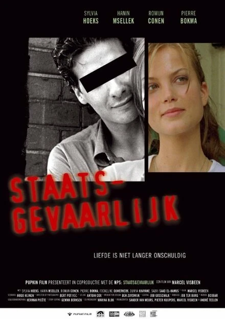 Постер Опасный для государства 2005