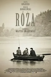 Роза 2011 постер