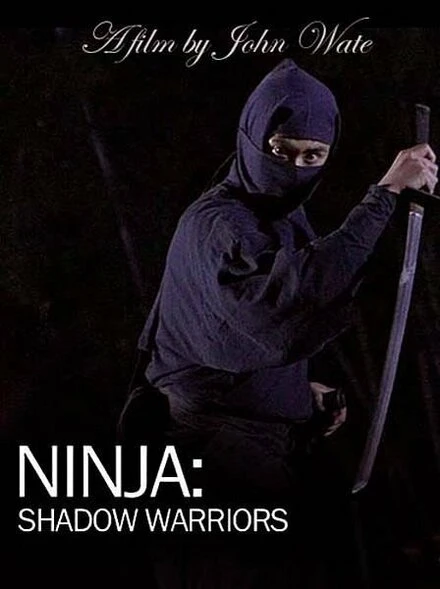Постер Ниндзя: Воины-тени 2012