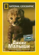 НГО: Дикие малыши 2003 постер