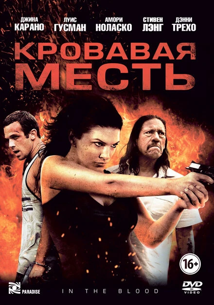Постер Кровавая месть 2013