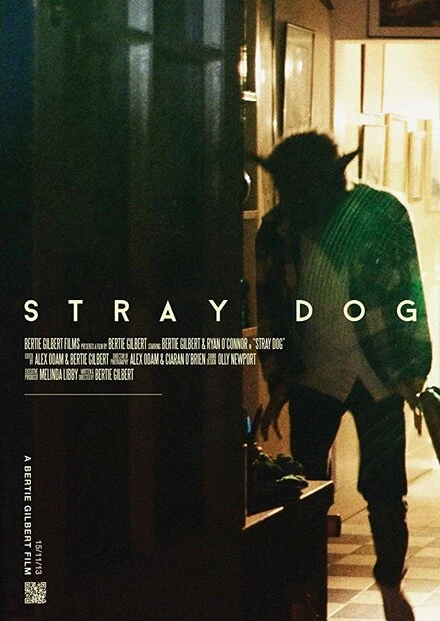 Постер Stray Dog 2013