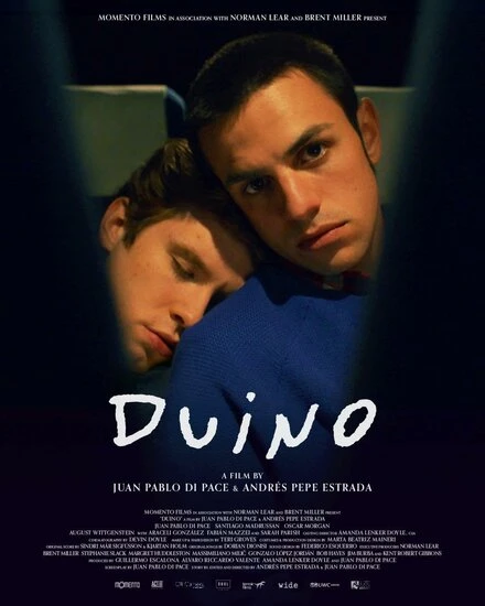 Постер Duino