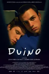 Duino постер