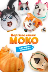 Корги по имени Моко. Домашние животные 2019 постер